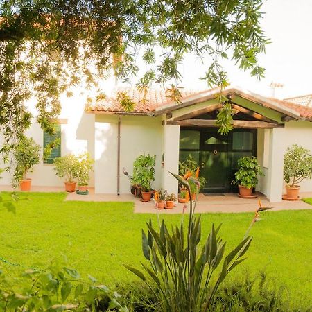 Villa Aurora Olbia Bagian luar foto