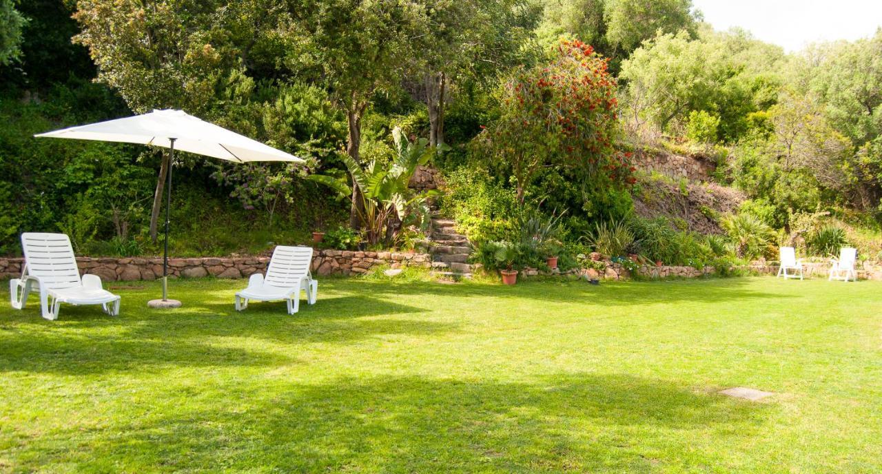 Villa Aurora Olbia Bagian luar foto